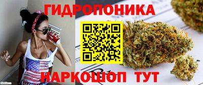 стафф Ставрополь