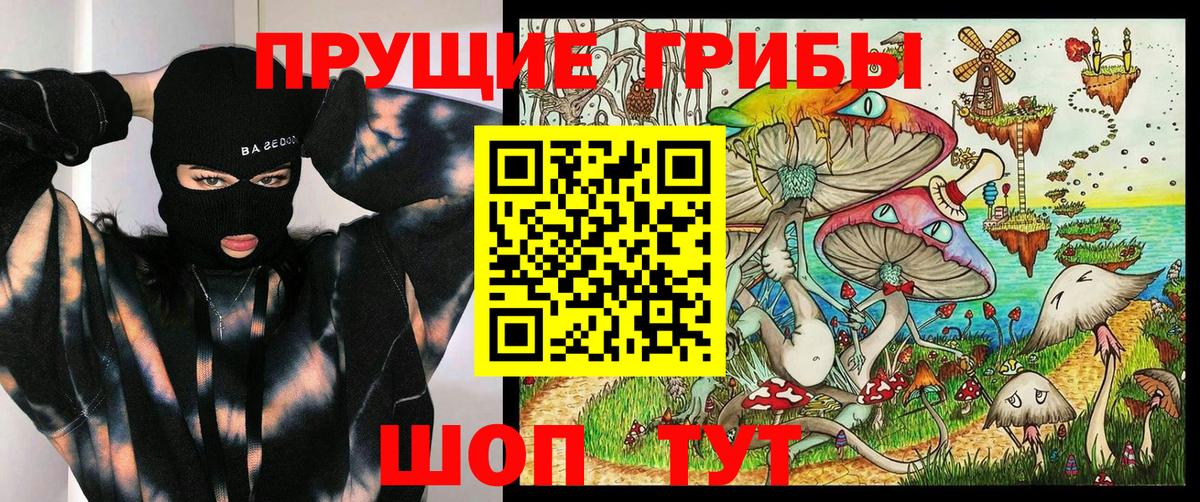 Орехово-Зуево  Галлюциногенные грибы Cubensis  Вход с VPN 